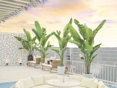 -天空花园餐吧·生日·团建(南山店)