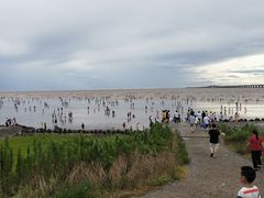 -南汇嘴观海公园