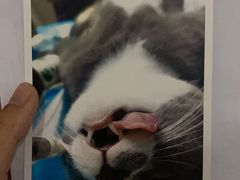 -爱诺耐芙动物医院(万博店)