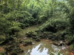 -四洞沟景区
