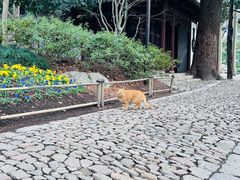 -汇龙潭