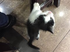 -东吴面馆(因果巷店)
