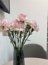 -莫纳瑜伽·普拉提