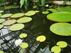 -国家植物园南园