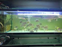 -华声天桥民俗文化园