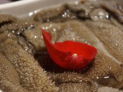 毛肚-蜀九香火锅(九眼桥店)