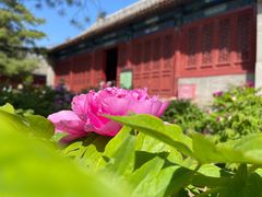 -大钟寺古钟博物馆
