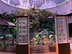 -陕西自然博物馆