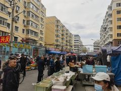 -哈尔滨道外花鸟鱼市场