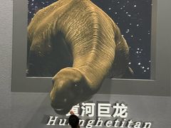 -天津自然博物馆