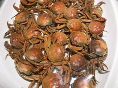 -东方红海鲜百汇(国际大厦店)