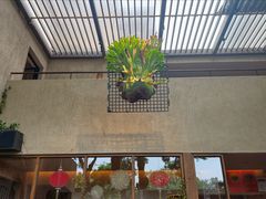 -朴墅(西湖青芝坞店·杭帮菜·家宴.14年的店)