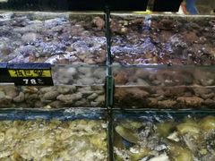 -龙溪海鲜酒家(溪涌店)