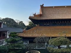 -普陀山风景名胜区-法雨禅寺