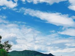 -白水寺森林公园