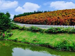-迪茵湖田家舍生态农场