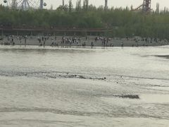 -伊犁河风景区