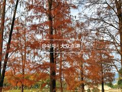 -飞来湖湿地公园