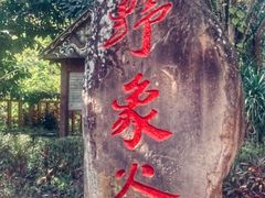 -野象谷景区