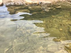 -安吉龙王山峡谷漂流