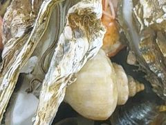 -威海渔村(黄兴路店)