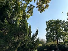 -合肥生态公园