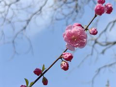 -三里河公园