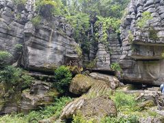 -梭布垭石林景区