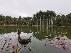 -中国科学院西双版纳热带植物园