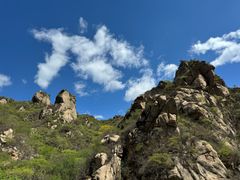 -大岭沟猕猴桃谷风景区