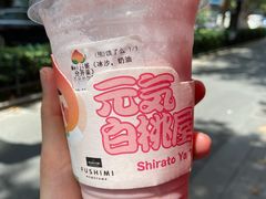 -伏小桃(明瓦廊店)
