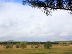 -塞罕坝国家级自然保护区