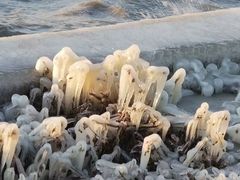 -苏州太湖湖滨国家湿地公园