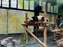 -上海野生动物园