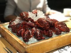 -旺小胖小龙虾