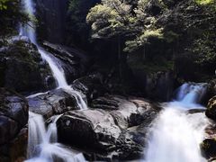 -大鄣山卧龙谷景区