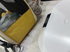 -艾贝尔宠物医院·24H转诊中心·肿瘤猫专科(江宁双龙店)