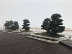 -演武大桥观景平台