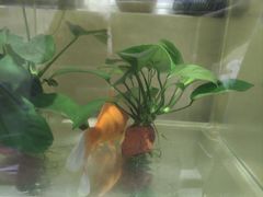 -西湖文化广场