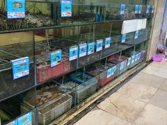 水产区-三亚老渔民海鲜店