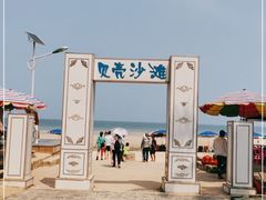 -贝壳沙滩