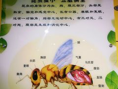 -上海昆虫博物馆