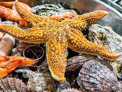 -老胶东家常菜馆(市场一路店)