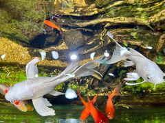 -太平洋海底世界