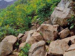 -九峰山