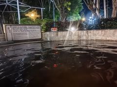 -碧水湾温泉