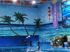 -多彩贵州城极地海洋世界