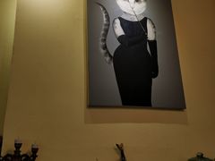 -猫色咖啡·猫咖