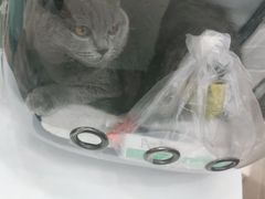 -荔康动物医院(康王北路店)