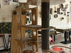 -平行世界·猫咖(首经贸店)